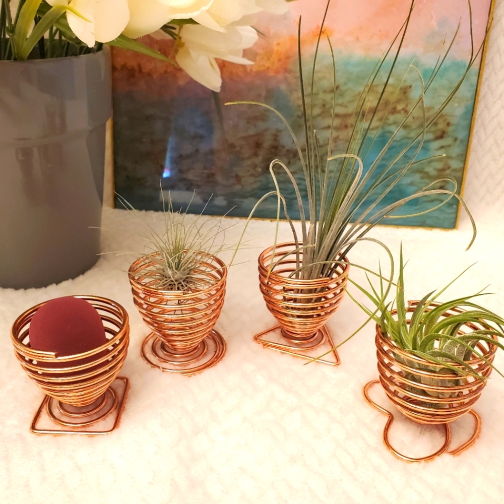 Plant holder- set of 4